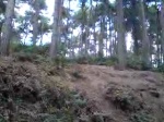 Must Watch Video