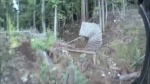Must Watch Video