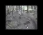 Must Watch Video