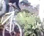 Must Watch Video