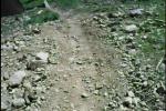 Must Watch Video