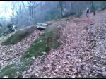 Must Watch Video