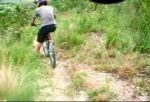 Must Watch Video