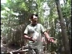 Must Watch Video