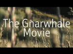 Must Watch Video