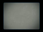 Must Watch Video