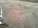Must Watch Video