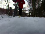 Must Watch Video