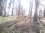 Must Watch Video