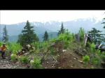 Must Watch Video
