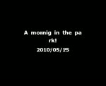 Must Watch Video