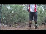 Must Watch Video