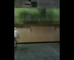 Must Watch Video