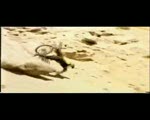 Must Watch Video