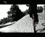 Must Watch Video