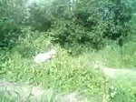 Must Watch Video
