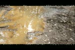 Must Watch Video