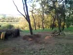 Must Watch Video