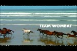 Must Watch Video