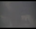 Must Watch Video