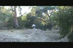Must Watch Video
