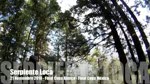 Must Watch Video