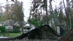 Must Watch Video