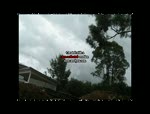 Must Watch Video