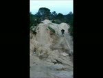 Must Watch Video