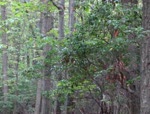 Must Watch Video