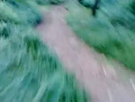 Must Watch Video