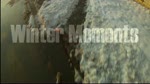 Must Watch Video