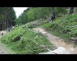 Must Watch Video