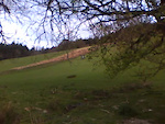 Must Watch Video