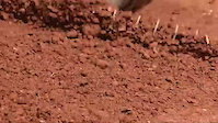 Must Watch Video