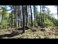 Must Watch Video