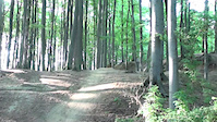 Must Watch Video