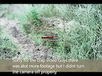 Must Watch Video