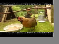 Must Watch Video