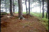 Must Watch Video