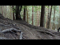 Must Watch Video