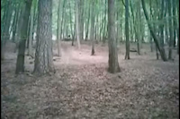 Must Watch Video