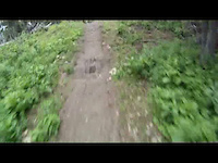 Must Watch Video