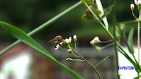 Must Watch Video