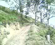 Must Watch Video