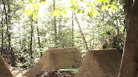 Must Watch Video