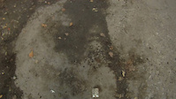 Must Watch Video