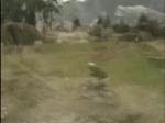 Must Watch Video