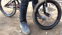 Must Watch Video