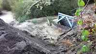 Must Watch Video